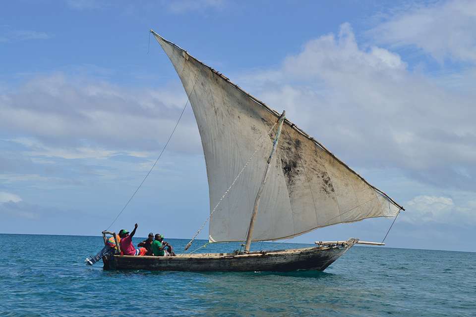 Zanzibar Independent Short Break - undefined - Image 1
