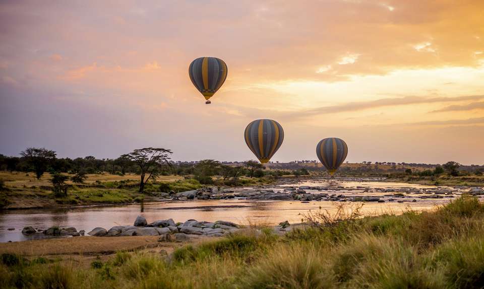 Zanzibar Safari Tour Wildebeest Migration Season - undefined - Image 7