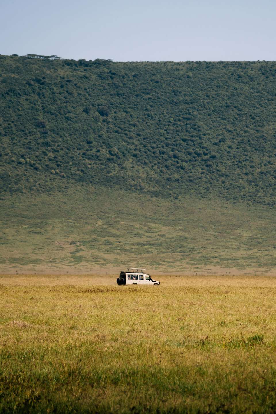 Zanzibar Safari Tour Wildebeest Migration Season - undefined - Image 8