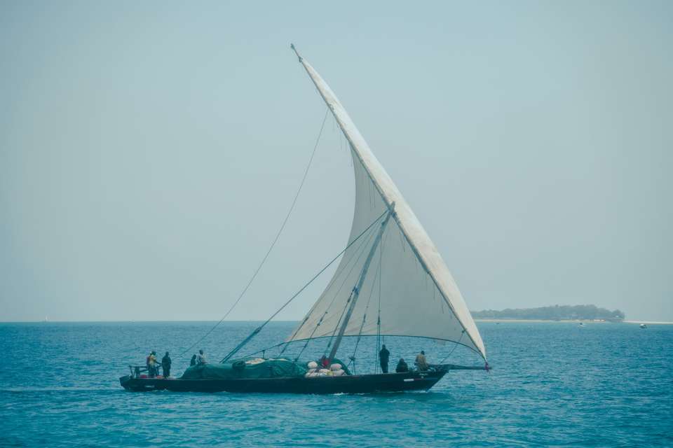 Zanzibar Safari Tour Wildebeest Migration Season - undefined - Image 14