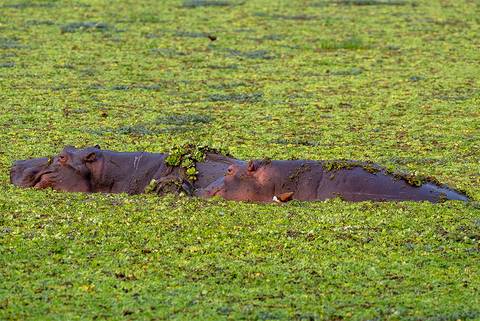 Waterfalls Tour: Zanzibar To Cape Town