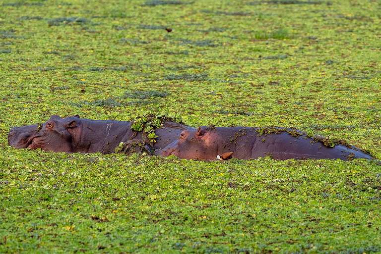 Cape Town Road Tour: Zanzibar to Cape Town