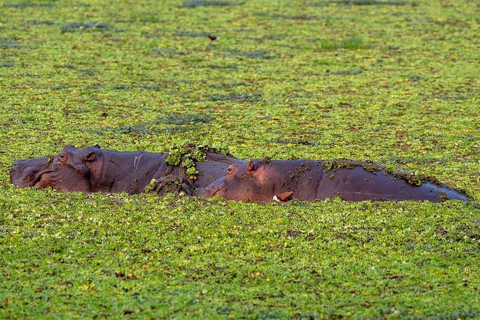 Zanzibar to Cape Town - Intrepid Travel - Tanzania - Image 1