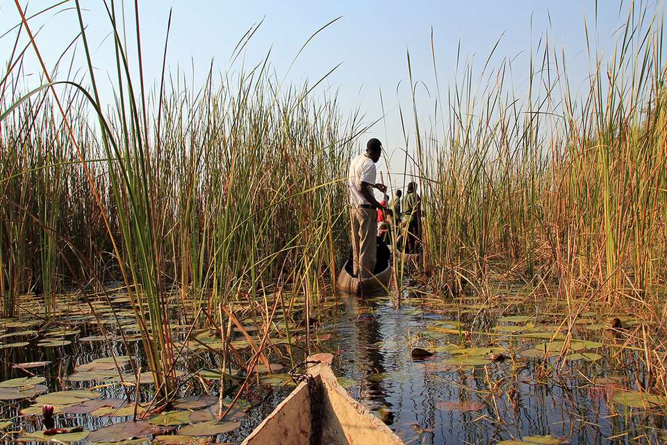 Zanzibar to Cape Town - Intrepid Travel - Tanzania - Image 3