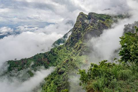 Zanzibar To Nairobi