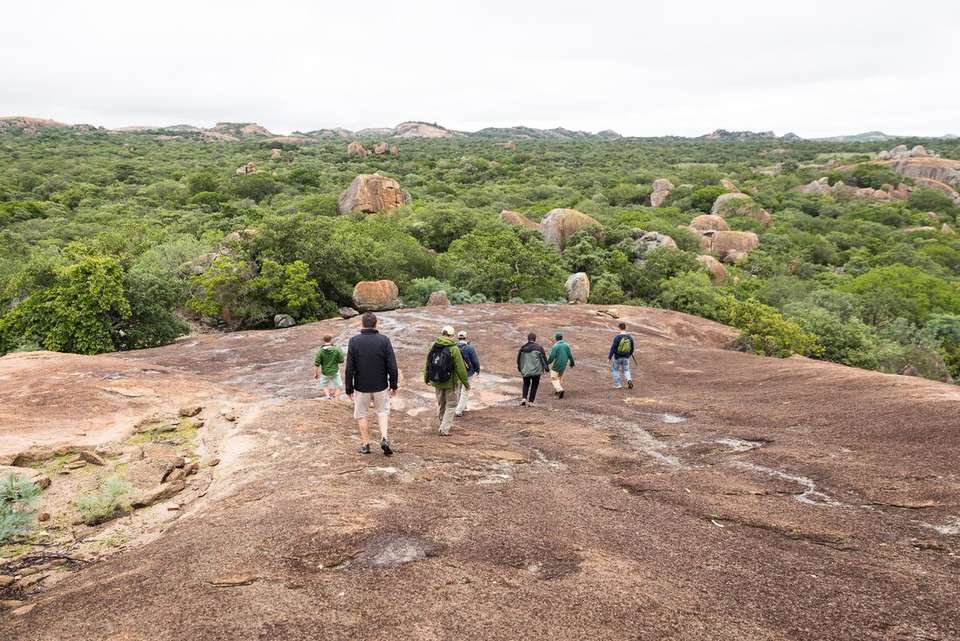 Zanzibar to Vic Falls - Intrepid Travel - Tanzania - Image 3