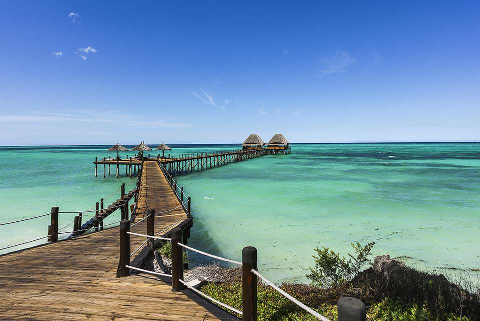 Zanzibar to Vic Falls - Intrepid Travel - Tanzania - Image 8