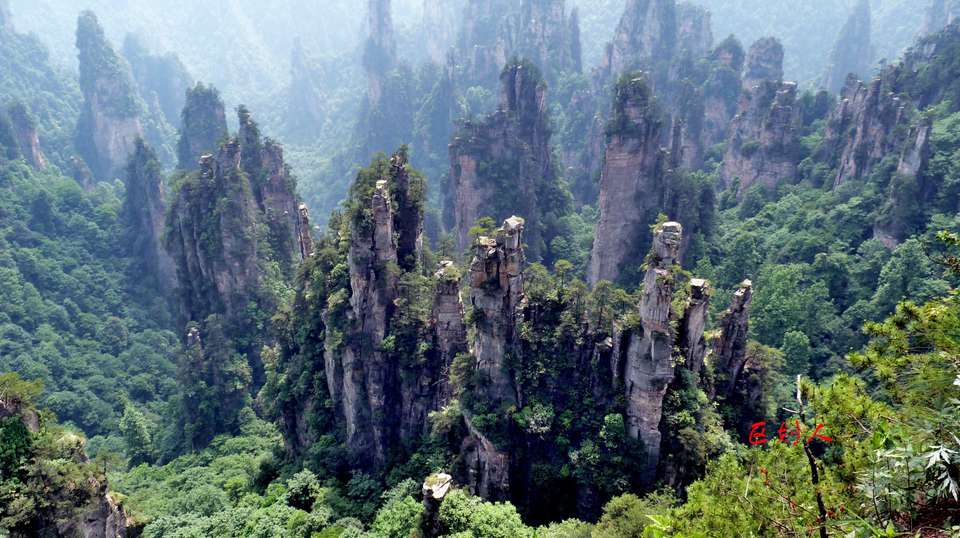 Zhangjiajie’s Natural Mountain Majesty Tour - Truly China Travel - China - Image 12
