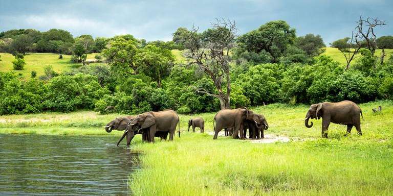 Zimbabwe & Botswana Safari: Victoria Falls & The Big Five trip - alternative tour available