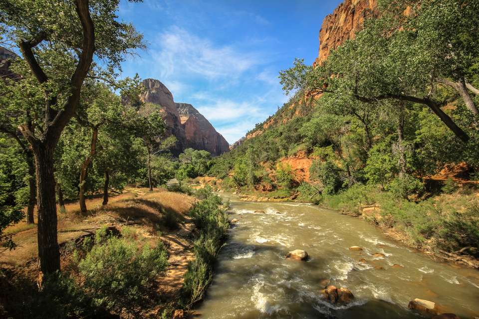 Zion to San Francisco Adventure - undefined - Image 9