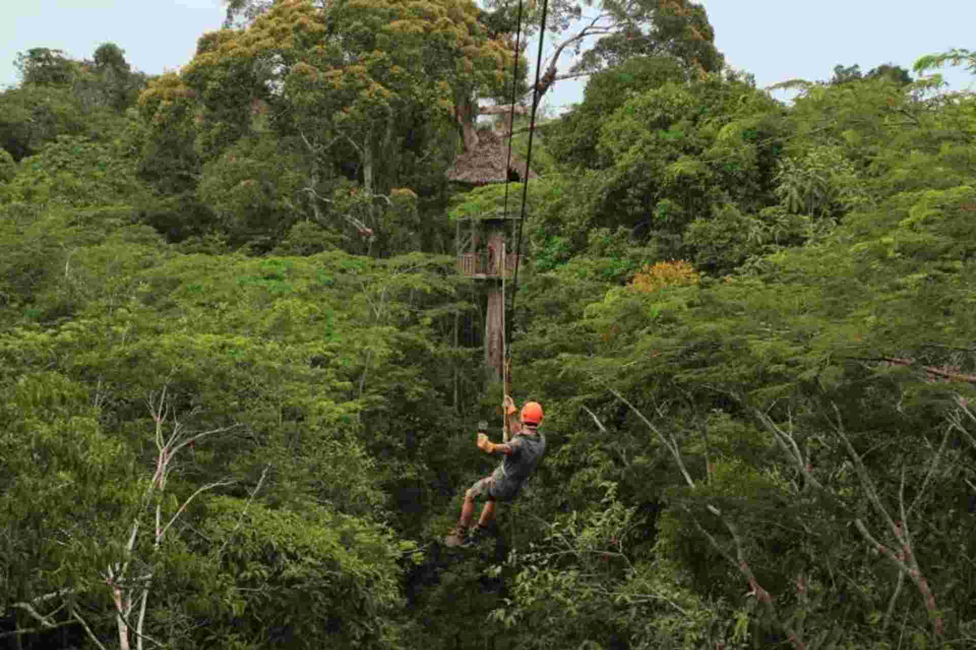 Zip Line, Hanging Bridge and Animal Rescue Center