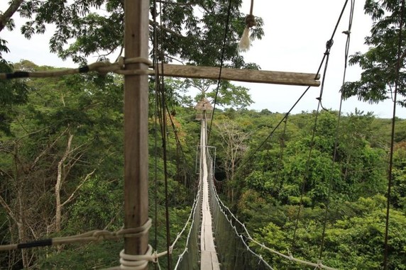 Image 2 of 8