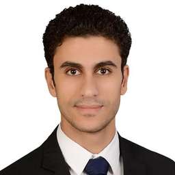 Milad Kamel travel expert