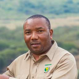 Philemon Joel travel expert