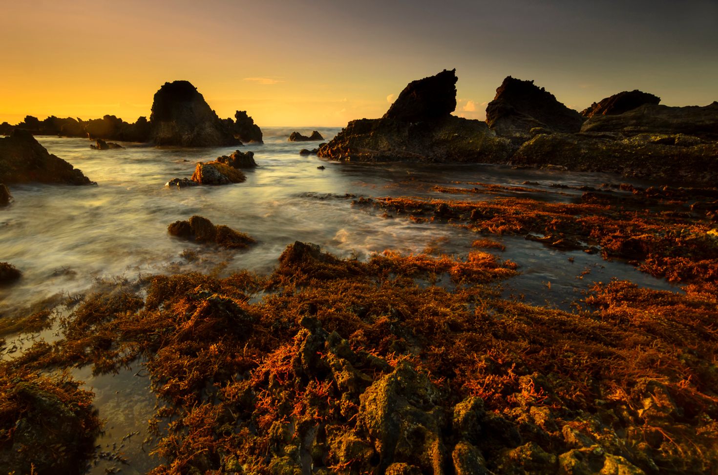 Sawarna beach is a Indonesia beach famous for the coral reef
