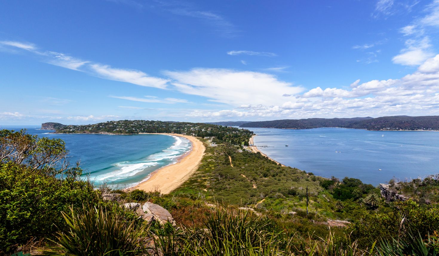 Day trips from Sydney Palm Beach