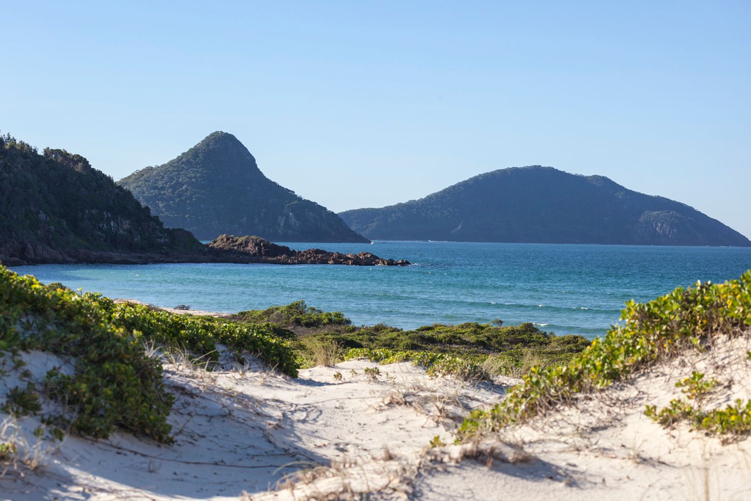 day trips from sydney port stephens coast