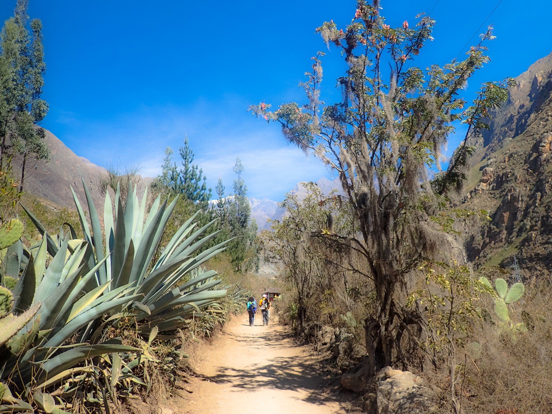 Peru is a hiker's paradise, offering trails that can be conquered in one day. Here two hikers walk on the Inca Trail. Hiking in Peru can take you through some of the most diverse trails in the world