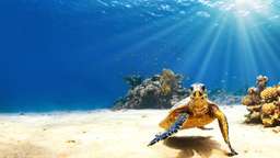 10 days in Galapagos: Top 3 Recommendations