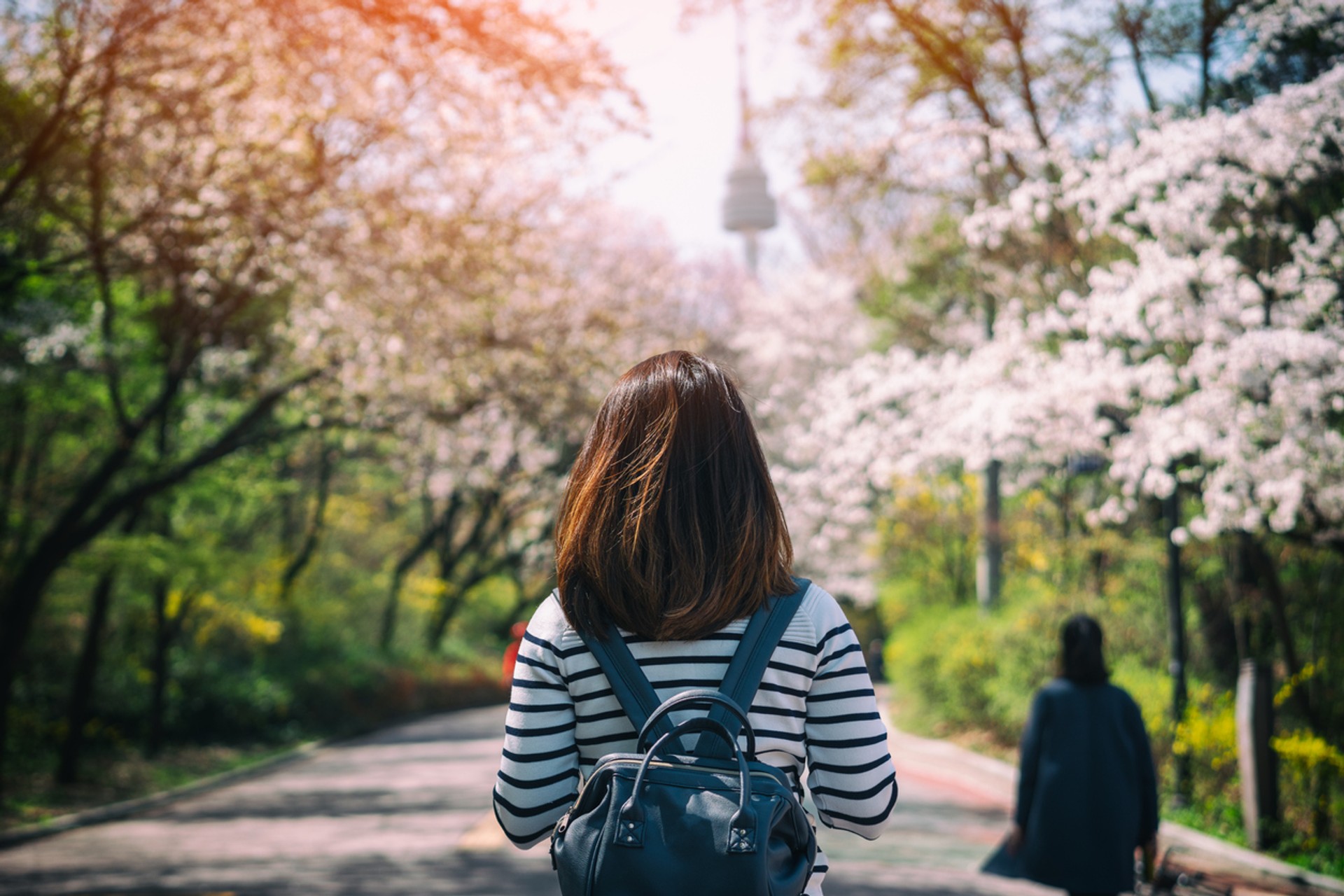 Seoul is close to some great spots in South Korea that can be easily reached and explored in a day Day trips from Seoul will take you to exciting places in South Korea