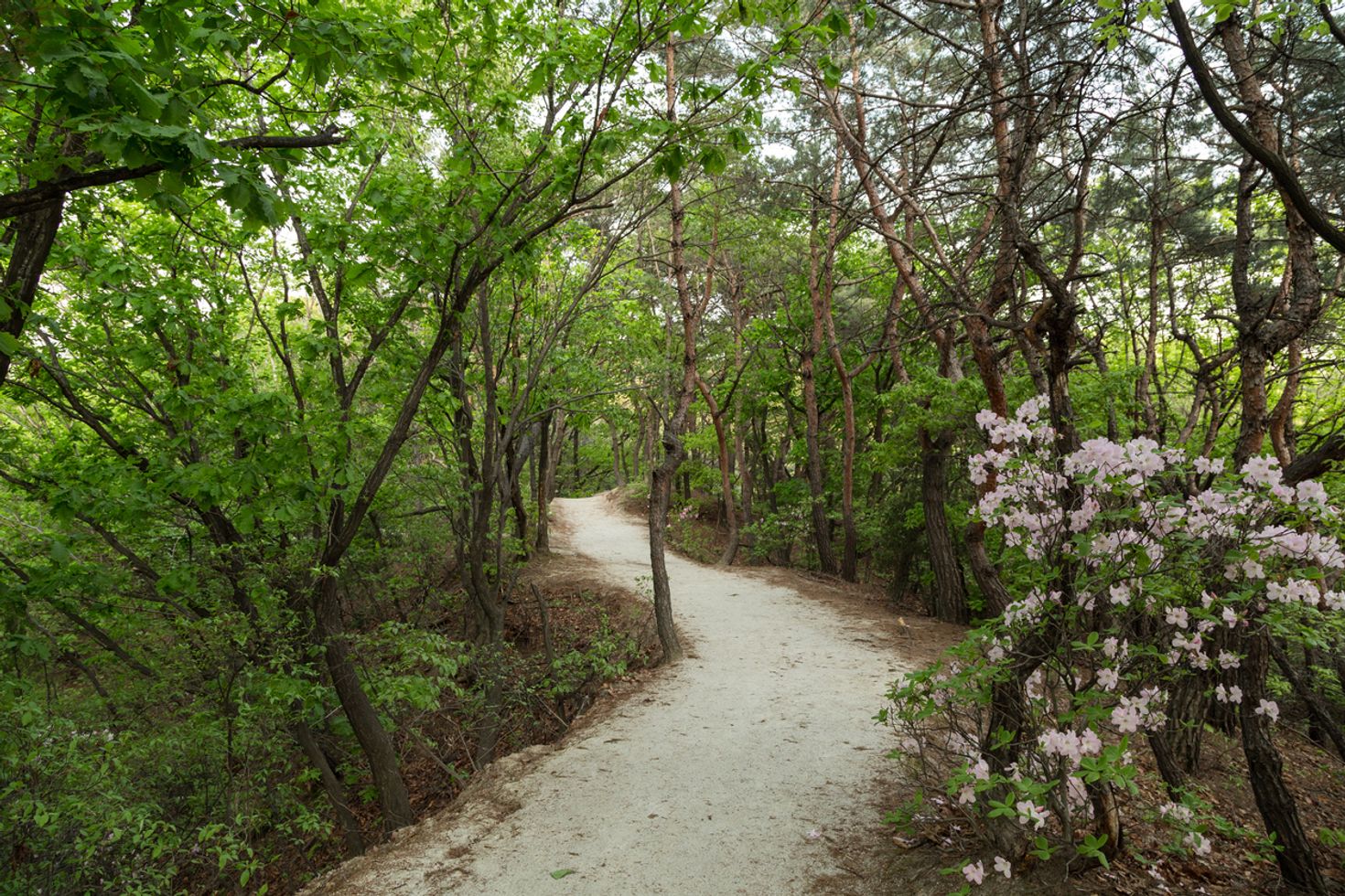 Visiting Bukhansan National Park can be a good day trip from Seoul