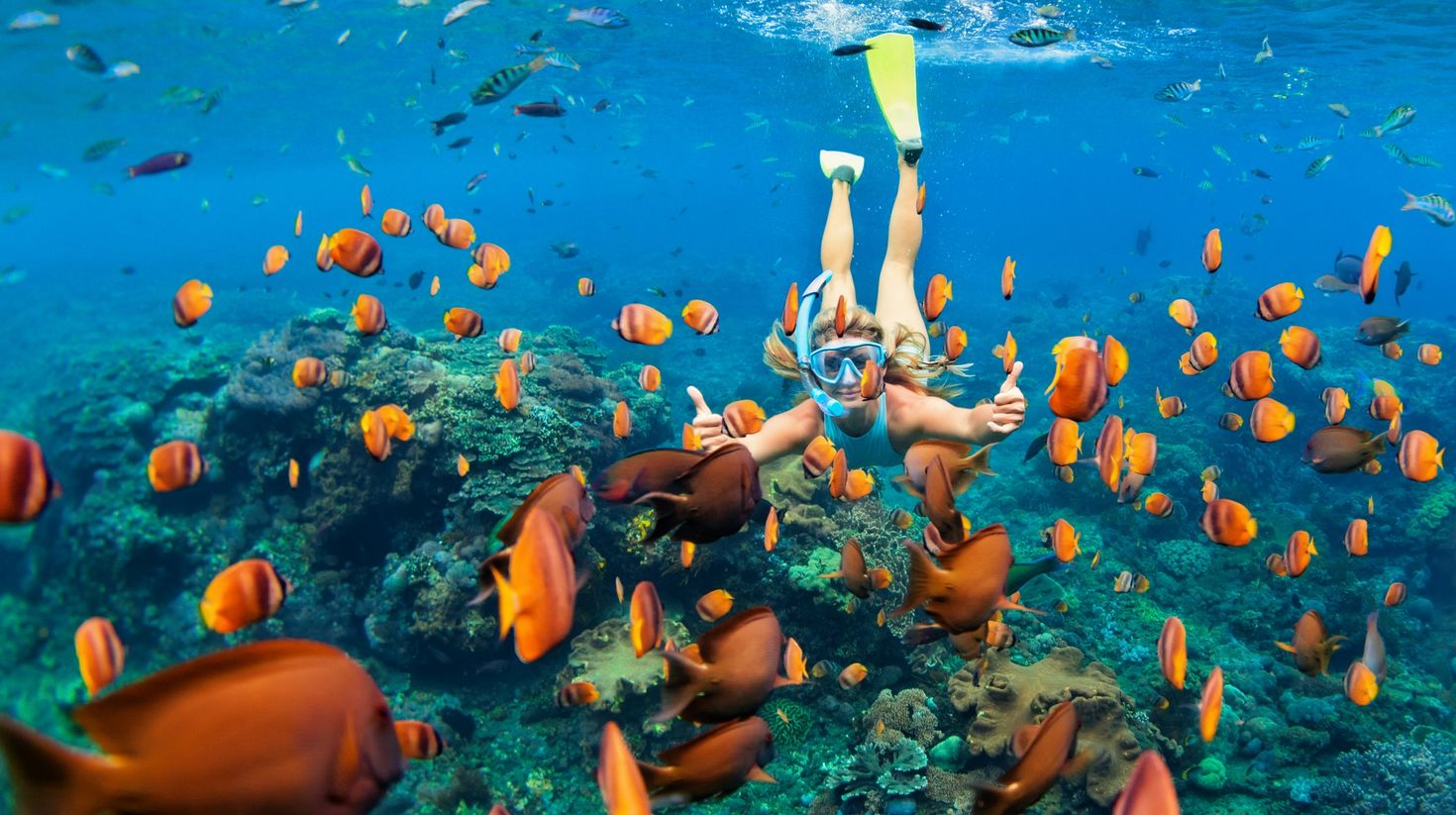 Girl in snorkeling mask dive underwater with coral reef fishes in Cozumel