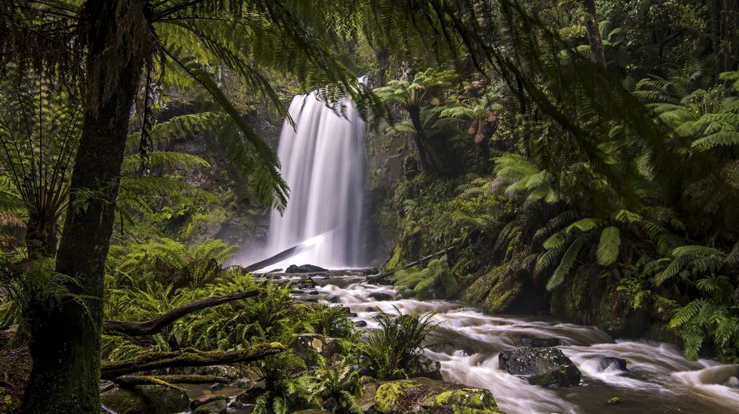To get to 12 Apostles from Melbourne, pass through Otway National Park.