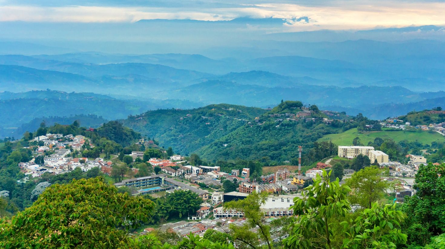 Manizales