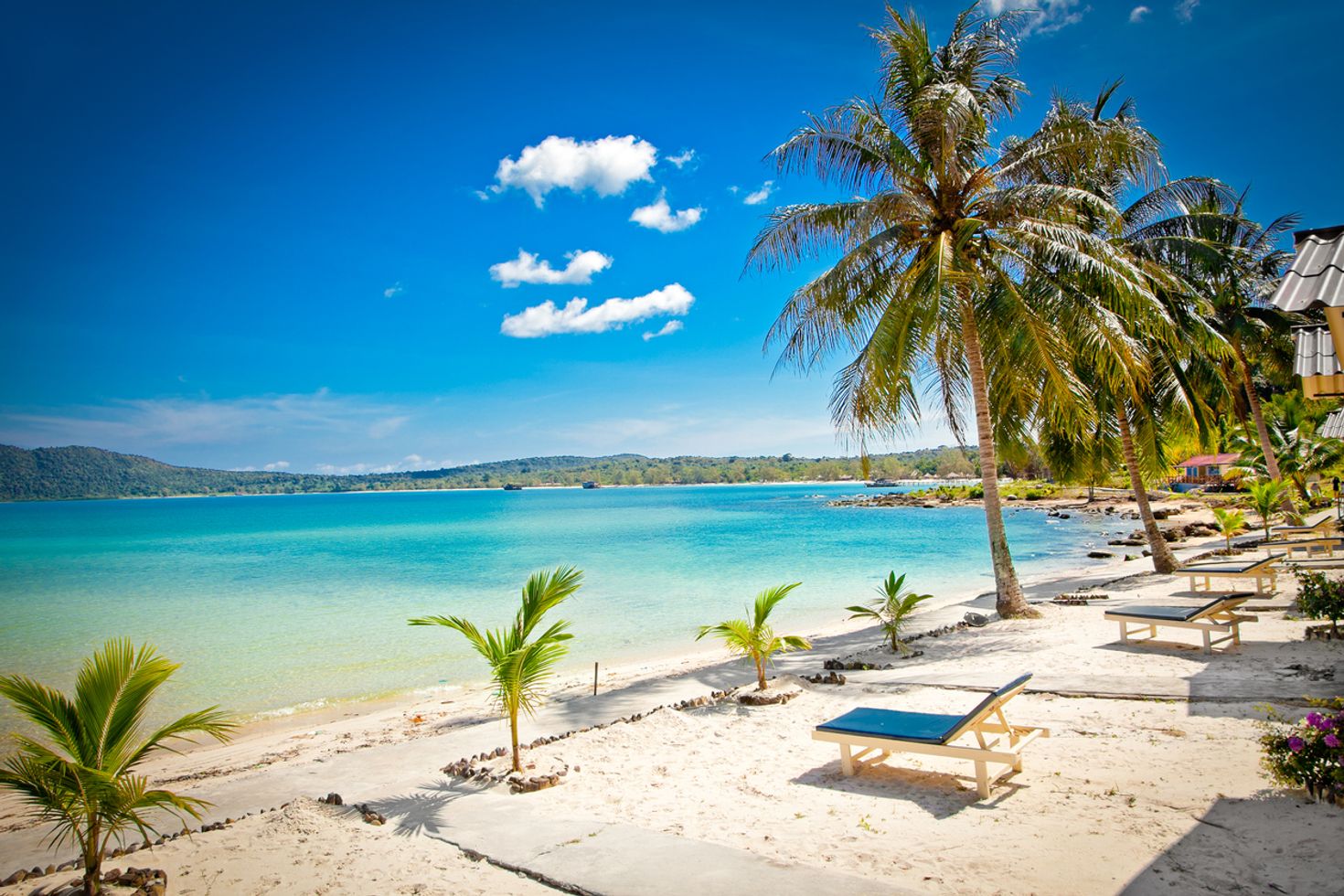 Sunbeds next to trees on a beach overlooking the ocean in Koh Rong. 