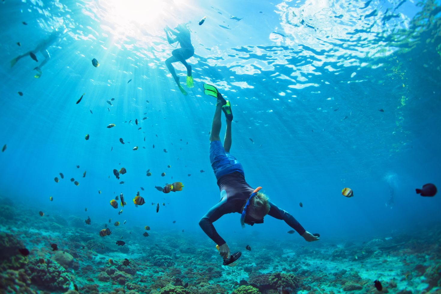 An underwater view of a man snorkeling with marine life around him. 