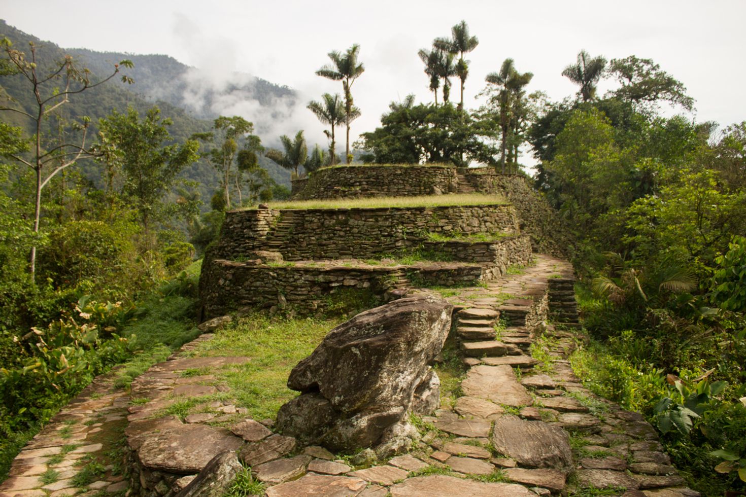 A trail in the Lost City Trek surrounded by dense forest on each side. 
