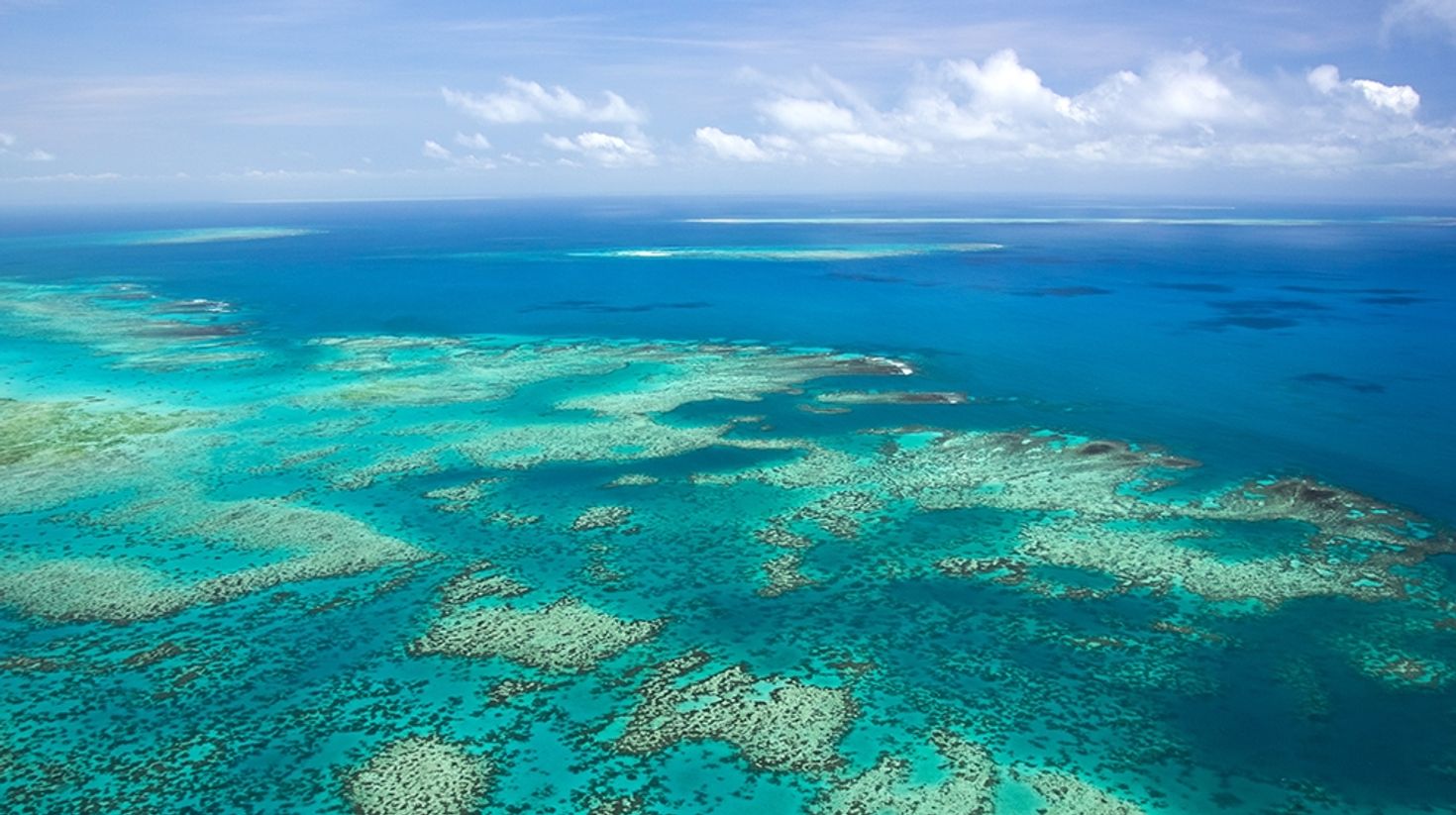 Great Barrier Reef, one of the prime spots for diving in Australia.