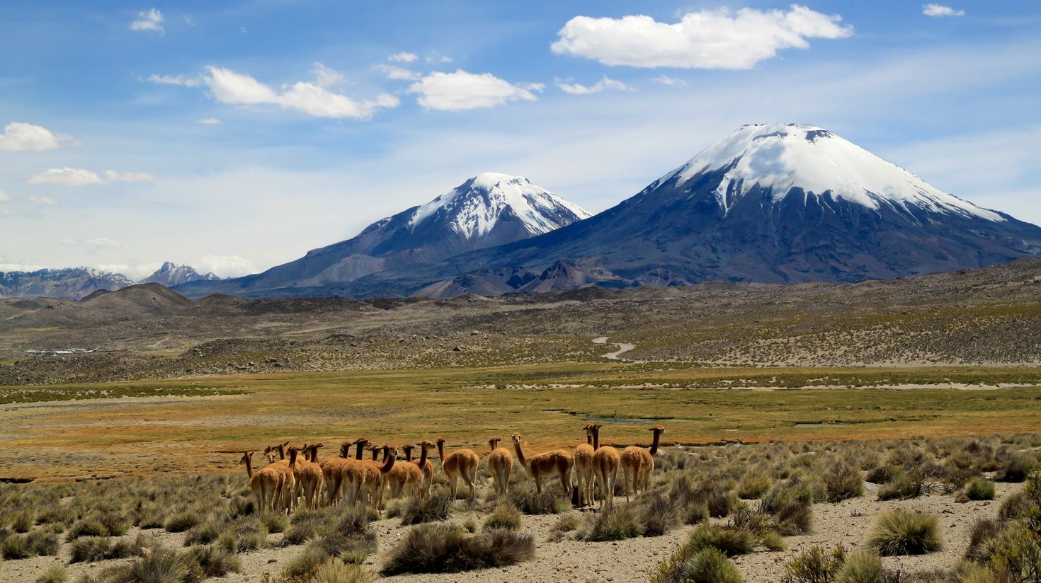 The Payachata volcano group in Lauca National Park in Chile.