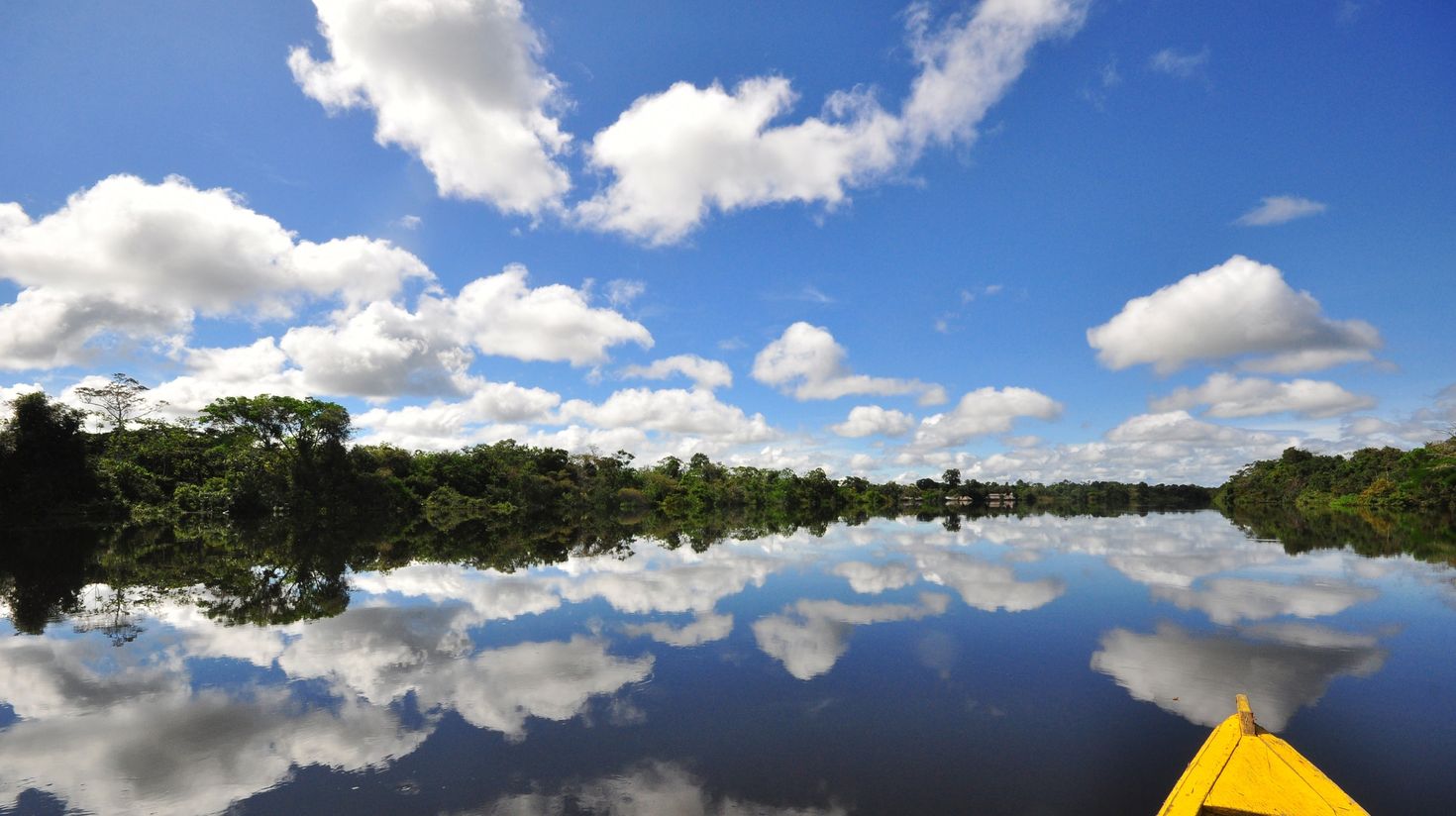 Colombian Amazon