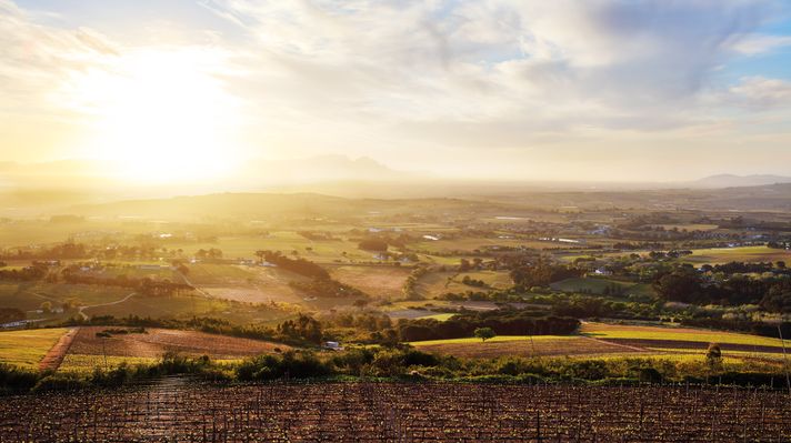 Spier Wine Farm in Stellenbosch