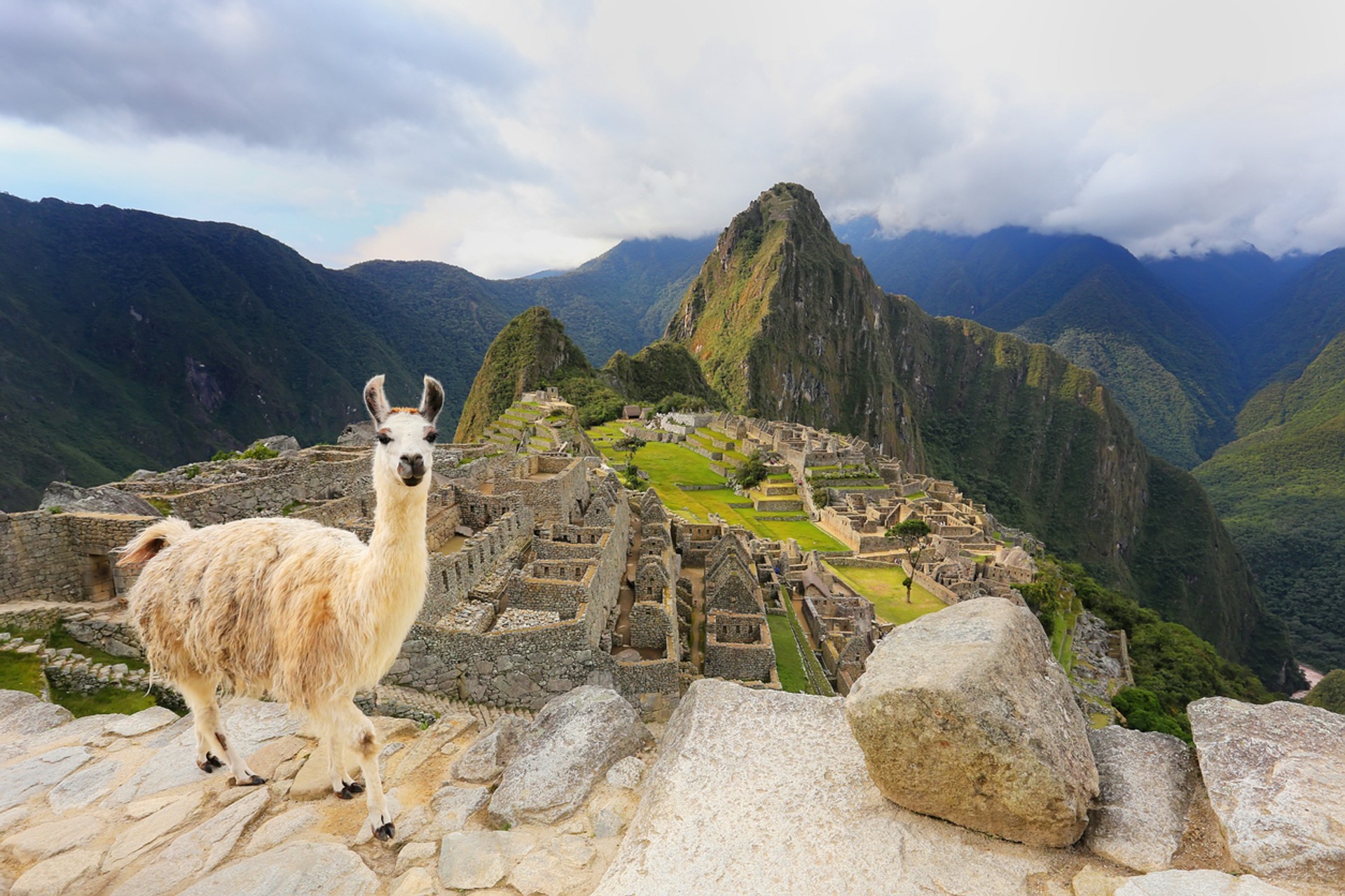 A llama in the foreground with Machu Picchu, the mysterious Inca ruins, lying behind Seeing the Temple of the Sun is a top thing to do in Machu Picchu