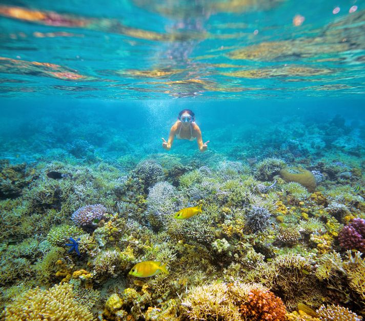 Diving in Vietnam