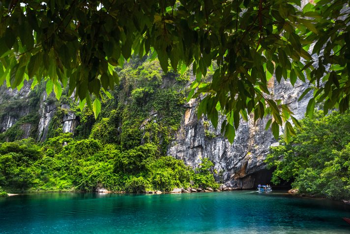 Phong Nha-Ke National Parl