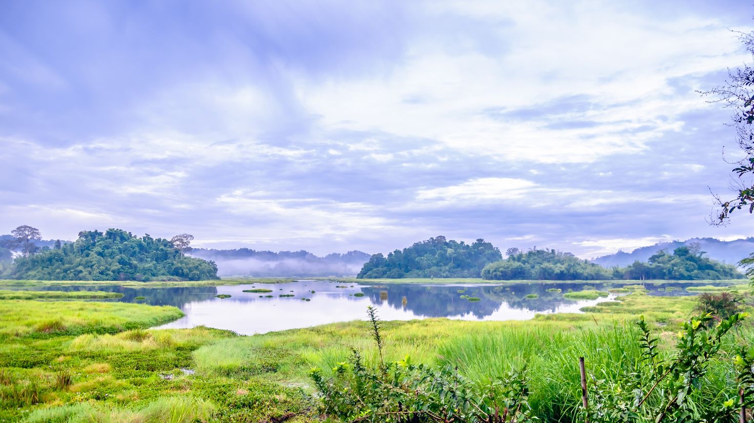 Cat Tien National Park is an important nature reserve in southern Vietnam