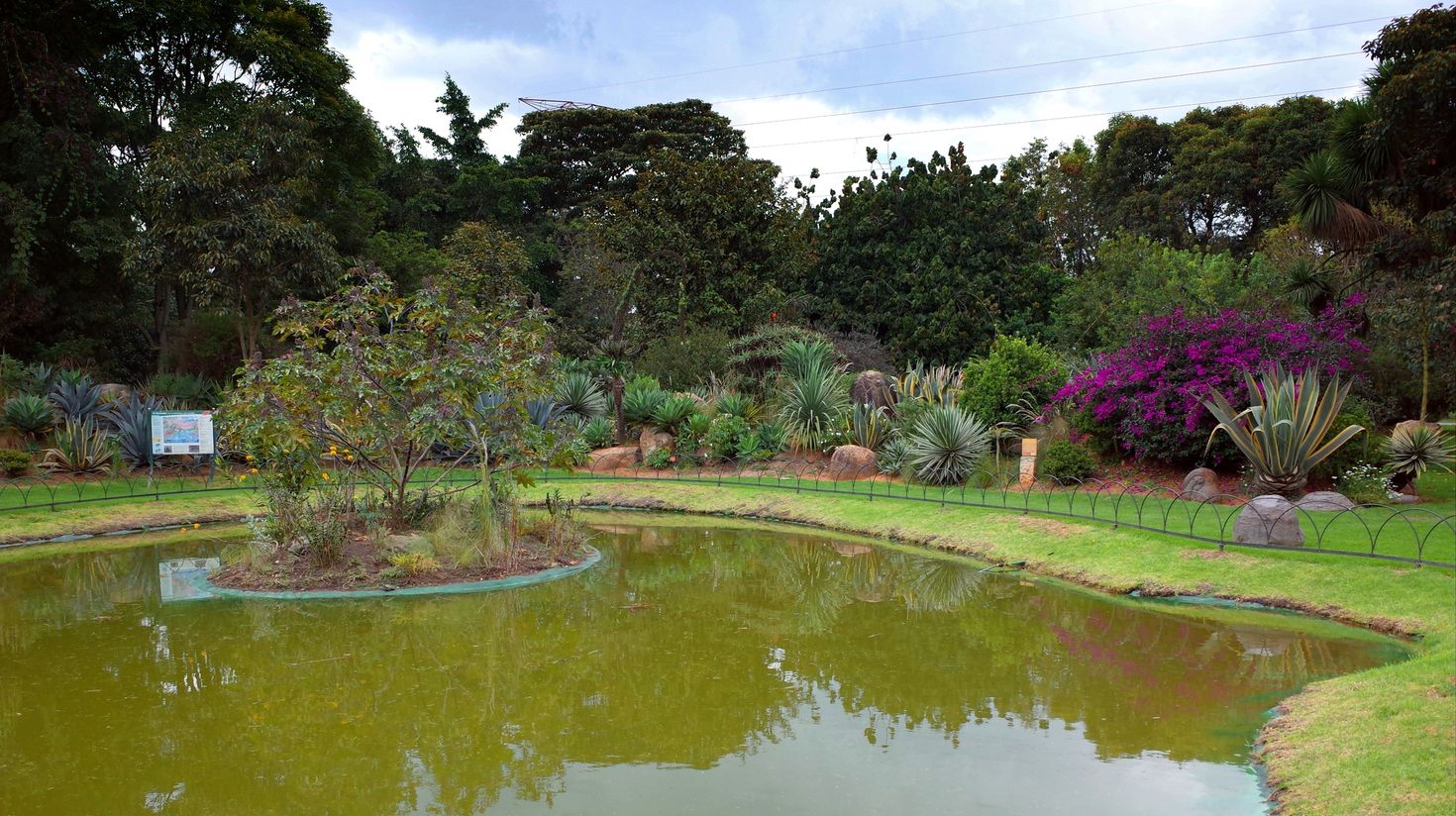 Jardin Botanico
