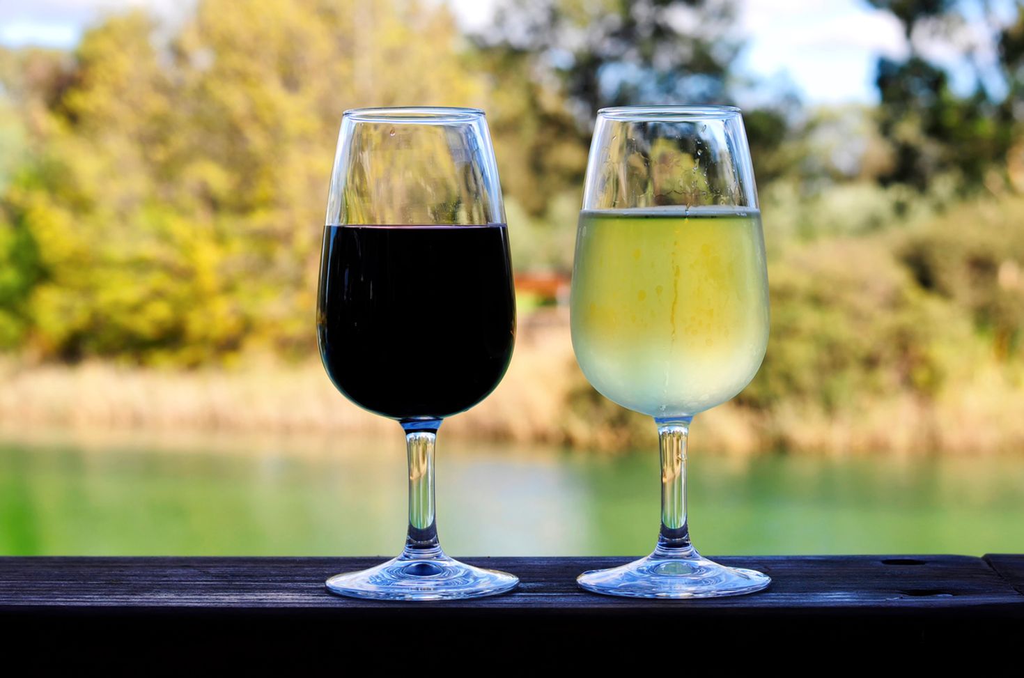 Things to do in Adelaide Barossa Valley wine