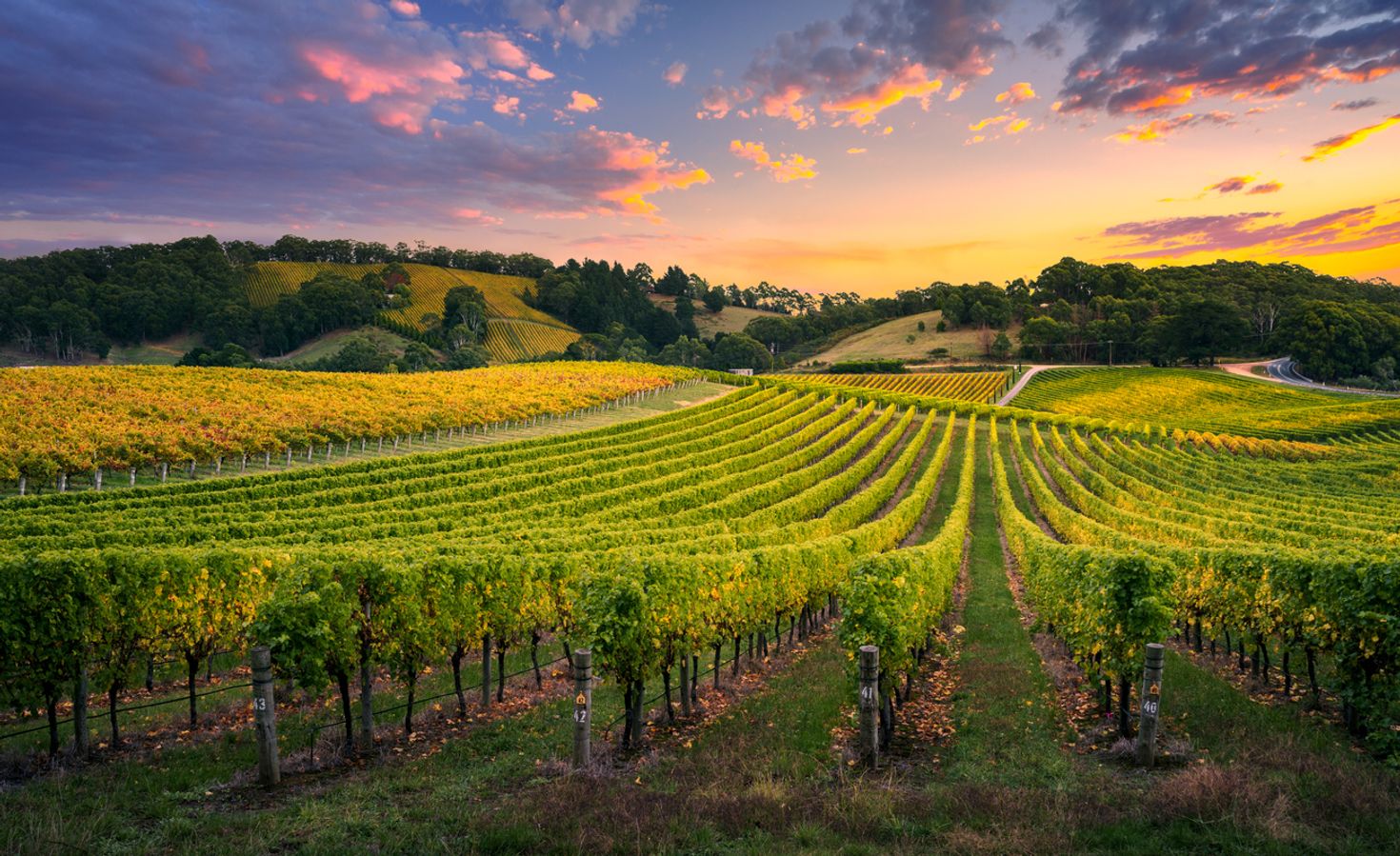 Things to do in Adelaide in Barossa valley