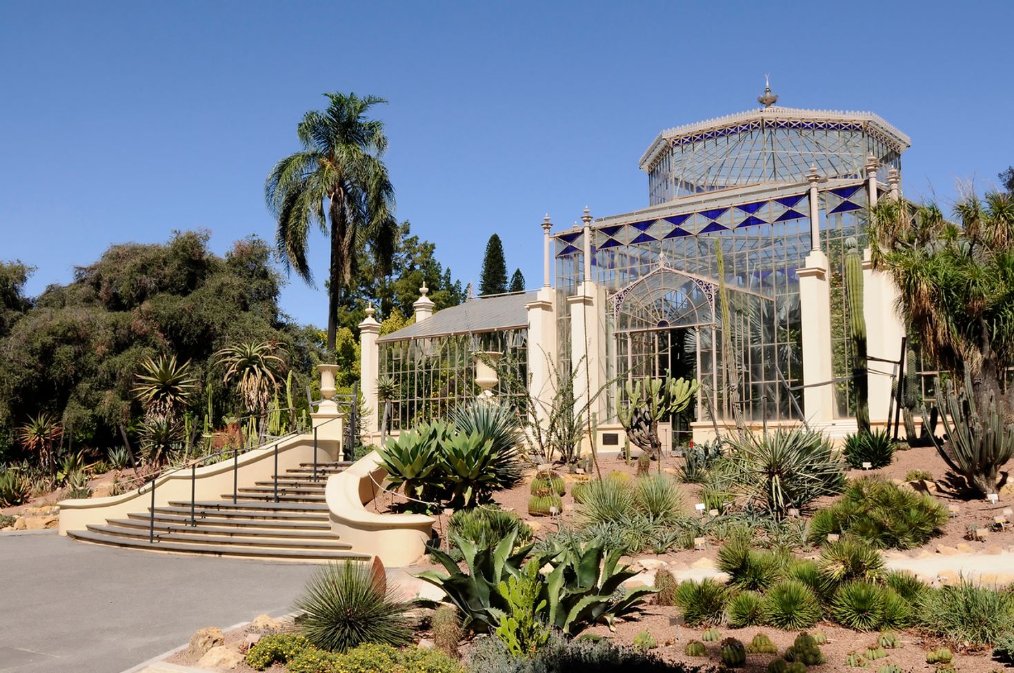 Things to do in Adelaide Botanic Garden