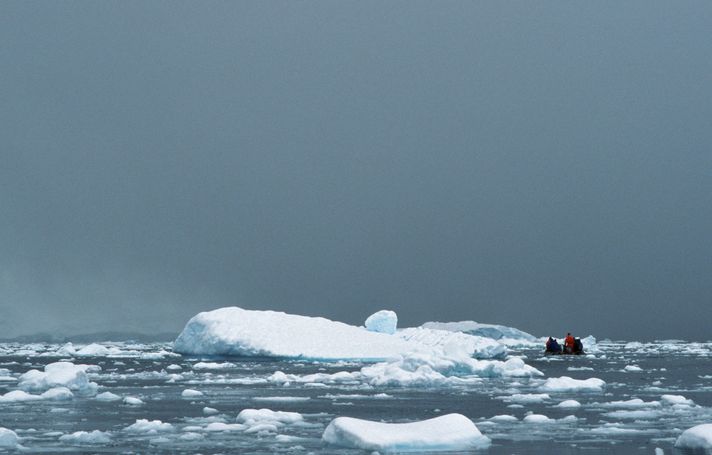 A group taking a cruise in Antarctic waters as icebergs float around. 