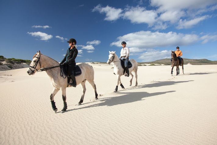 Horseback Riding in Grootbos, safari near cape town
