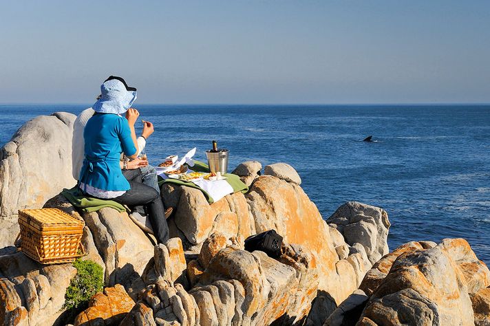 Tourists waiting for whales to appear at Walker Bay.