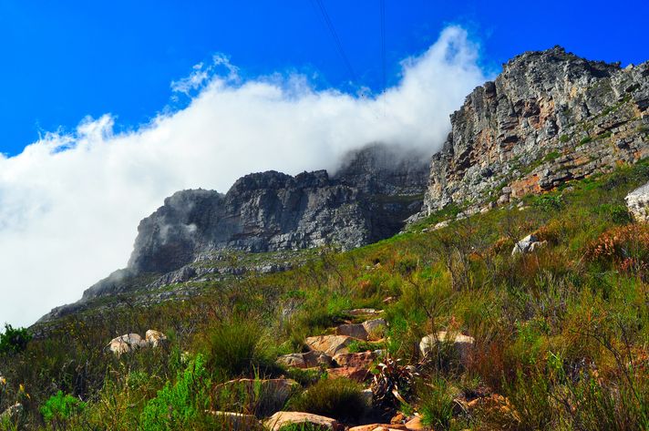 Table Mountain hiking trails
