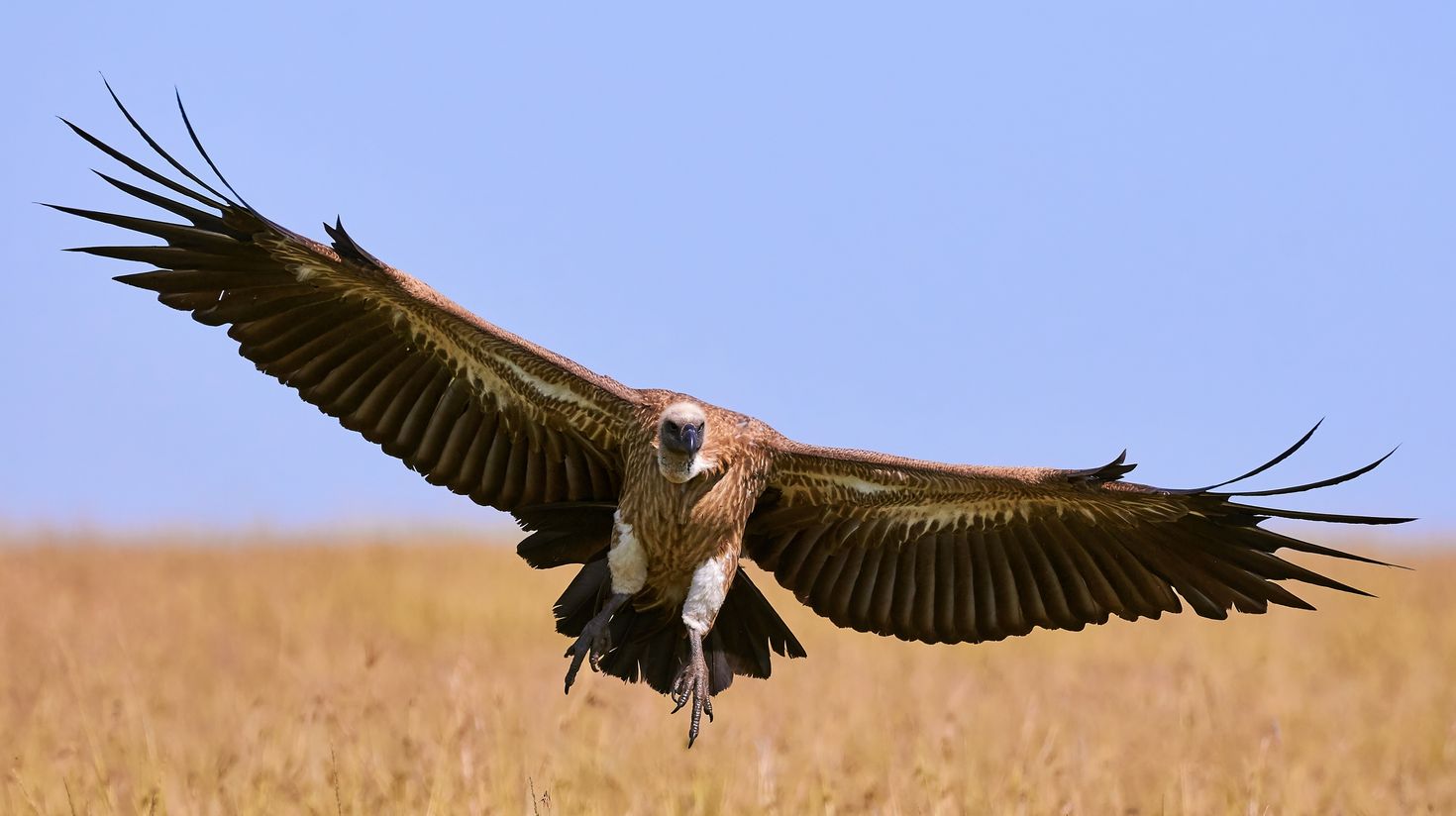Marakele National Park in South Africa