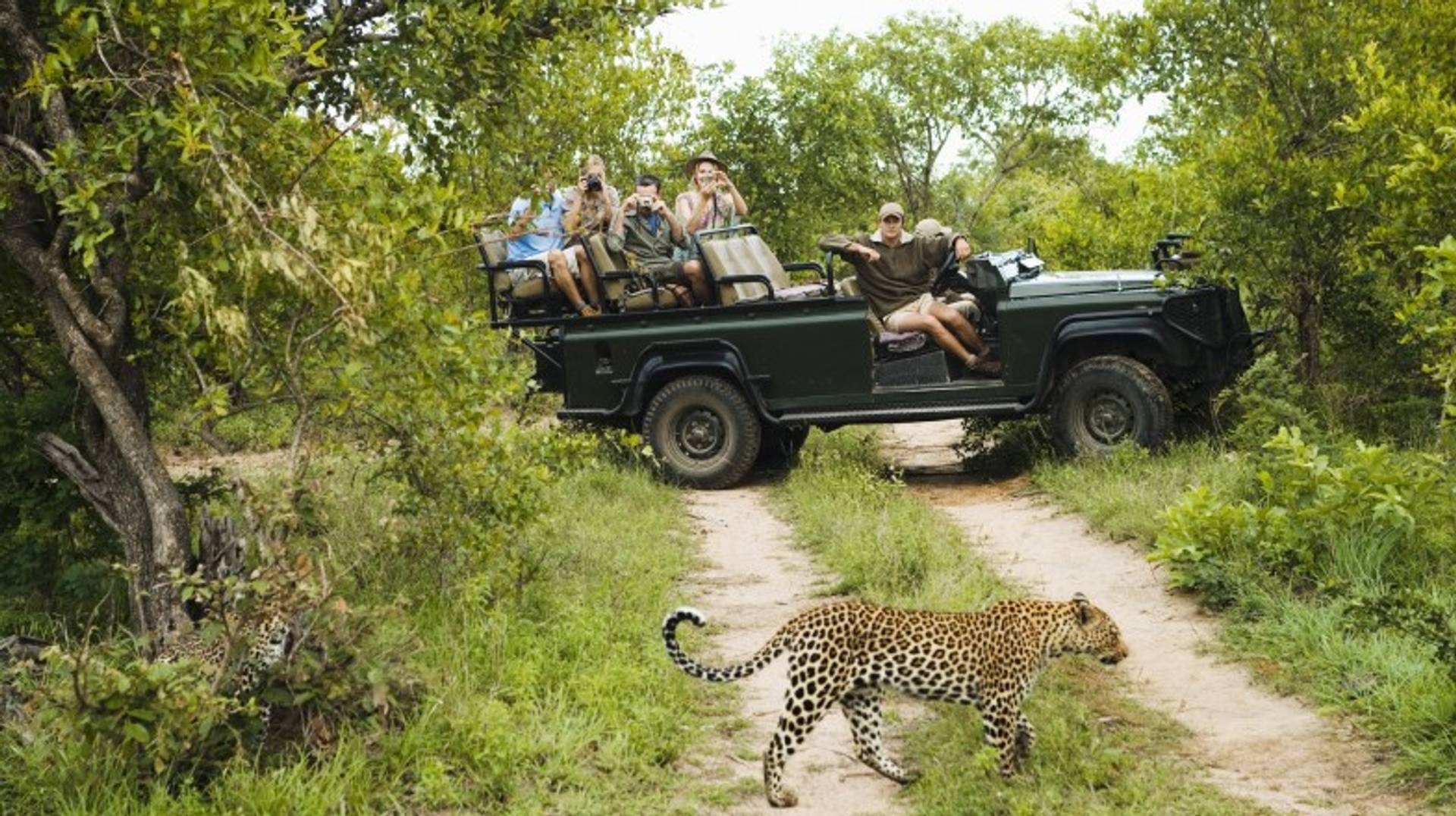 6 Best South African National Parks