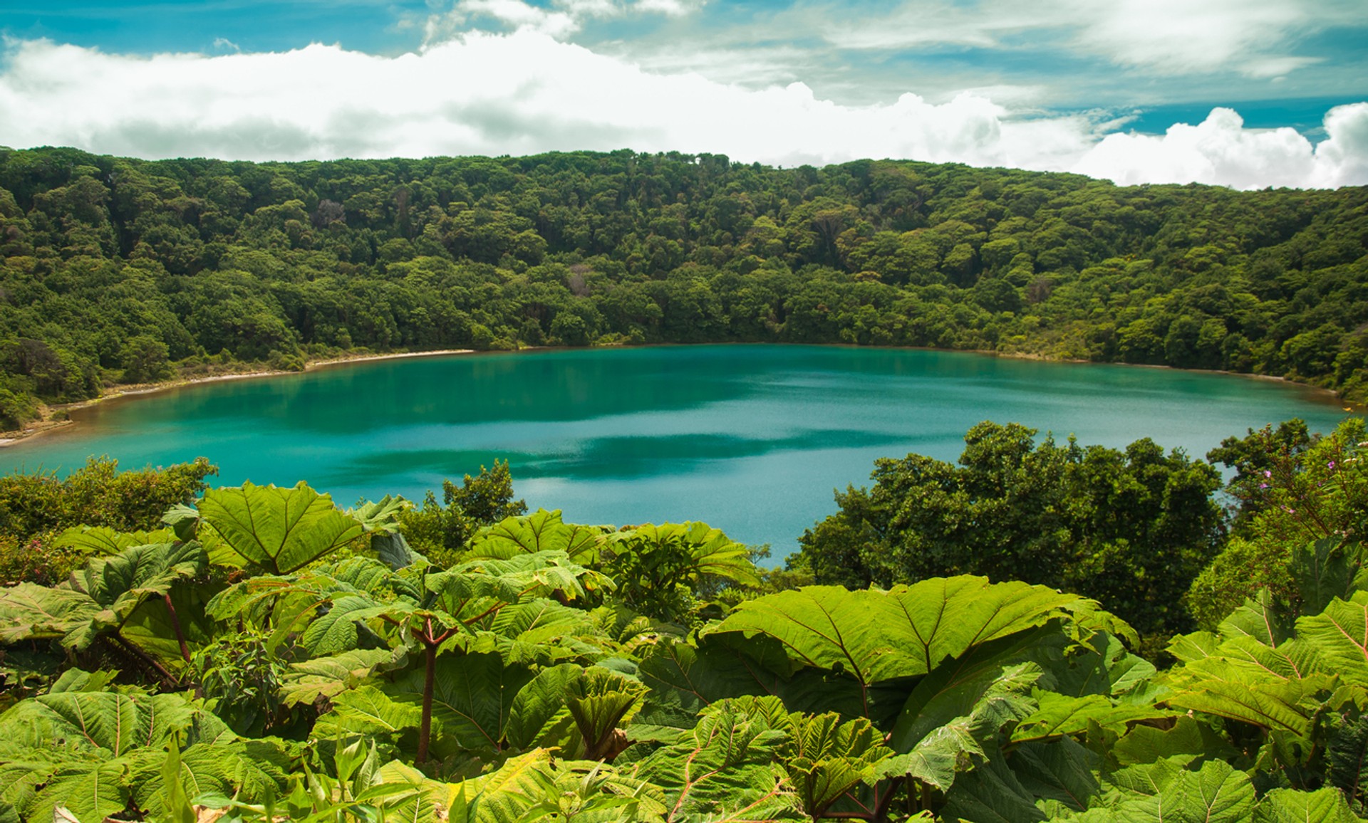 Costa Rica is gifted with an ideal geographical location resulting in a rich concentration of flora and fauna. National parks in Costa Rica have the richest concentration of biodiversity.